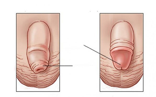 윤활유가 수행하는 작업